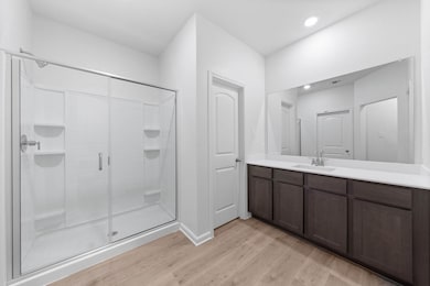 Bathroom featuring vanity, light wood-type flooring, and a shower stall