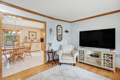 226 Allen St, East Longmeadow, MA 01028 - photo 6