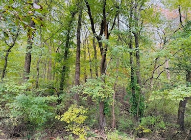 4956 Shady Rd, Cannelton, IN 47520 - photo 4