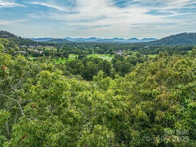 565 Walnut Valley Pkwy unit 158, Arden, NC 28704 - photo 5