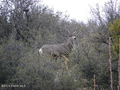 DeerSummitPointe