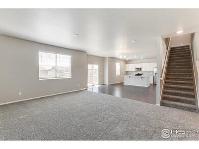 6915 Grainery Ct, Timnath, CO 80547 - photo 2