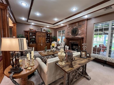 Carpeted living area featuring a raised ceiling, v