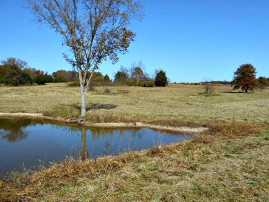 Pond View 1