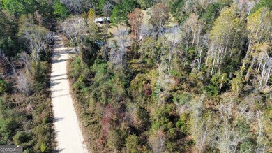 0 George Strickland Rd unit 10626764, Claxton, GA 30417 - photo 3