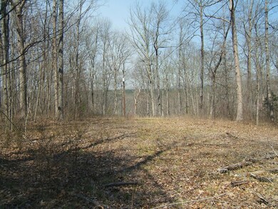 12 S and T Rd, Dunlap, TN 37327 - photo 5