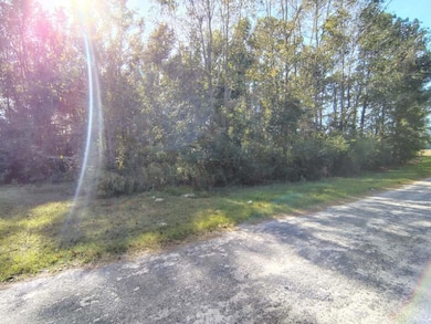 112 Tropicana Ct, Orangeburg, SC 29118 - photo 5