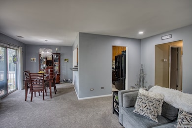 7070 Newport Dr unit 203, Woodridge, IL 60517 - photo 4