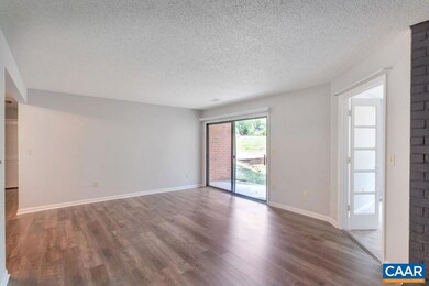 136 Green Turtle Ln unit 2, Charlottesville, VA 22901 - photo 4