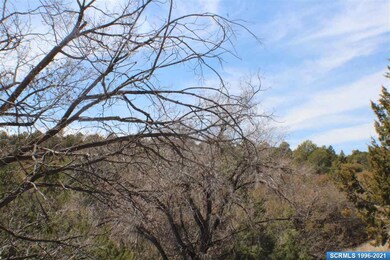91xx Hideaway Trail, Silver City, NM 88061 - photo 5
