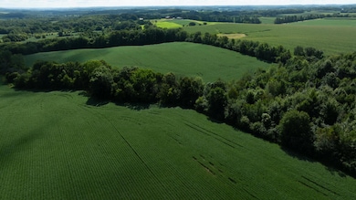 Lot 4 280th St, Glenwood City, WI 54013 - photo 4