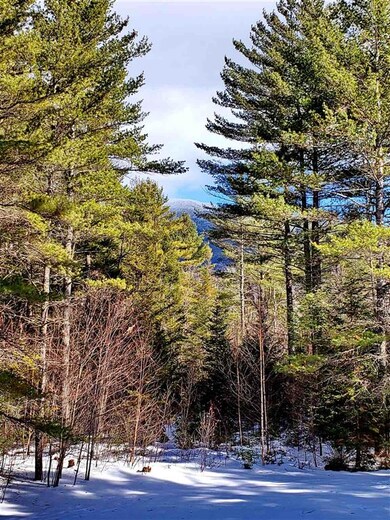 42 Gingerbread Rd, Franconia, NH 03580 - photo 3