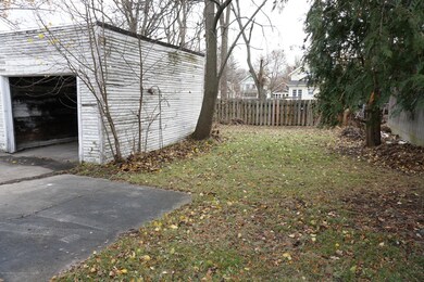 Backyard 1