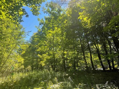 00 Mcmillan Rd, Whitingham, VT 05342 - photo 4