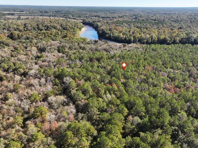 Old_Hwy_24_W_Lot_36-4