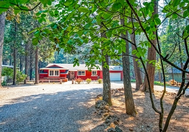 Forest Framed Front View