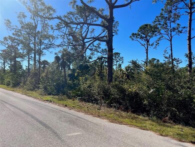 13197 Sulky Dr, Punta Gorda, FL 33955 - photo 6