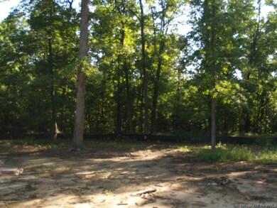 View to Rear of Site