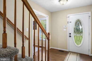 6414 Sugar Maple Ct, Fredericksburg, VA 22407 - photo 3