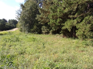 TBD Scenic View Rd, Ozark, AR 72949 - photo 5