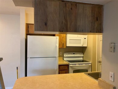 233 Red Maple Place unit 233, Brandon, FL 33510 - photo 6