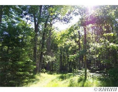 Lot 7 Mallard Lake Rd, Webster, WI 54893 - photo 4