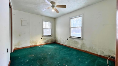 1401 S Miner Rd, Crystal, MI 48818 - photo 5