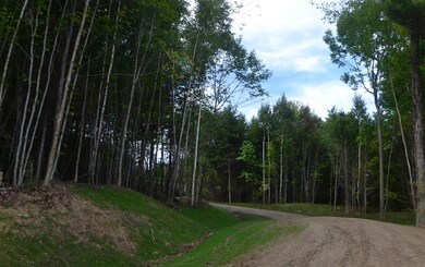 620 N Groton Rd, East Hebron, NH 03241 - photo 4