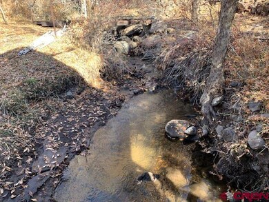 23687 Ute Trail Rd, Cedaredge, CO 81413 - photo 5