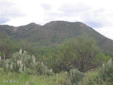 11201 E Camino Aurelia, Vail, AZ 85641 - photo 5
