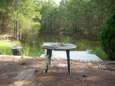 Pond