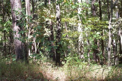 10 Kiswick Cir, Bella Vista, AR 72714 - photo 5