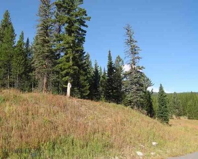 TBD Iris Meadow, Big Sky, MT 59716 - photo 7
