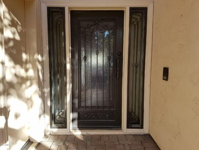Iron & Glass Entry Door
