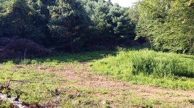 20150803_175314 (800x450)