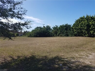 View of the lot from the street
