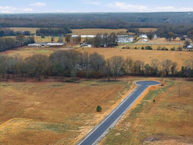 Lot 8 Crescent Cove, Ward, AR 72176 - photo 3