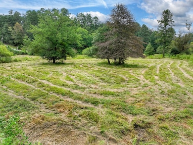 34.51 AC Weaver Creek Rd, Blue Ridge, GA 30513 - photo 3