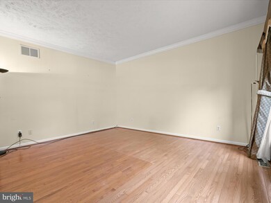 3005 White Beech Dr, Harwood, MD 20776 - photo 7