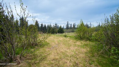 Pacific Park - 11
