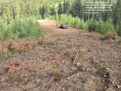 1051 Skamania Mines Rd, Washougal, WA 98671 - photo 7