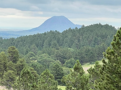 Lot 30 Summit Pass unit Dakota Highland Esta, Whitewood, SD 57793 - photo 5