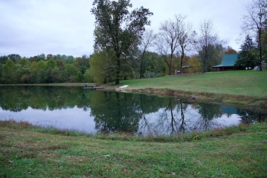 8788 John Steele Rd, Corydon, KY 42406 - photo 3