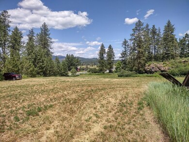 xx S Ehorn Ln, Chewelah, WA 99109 - photo 6