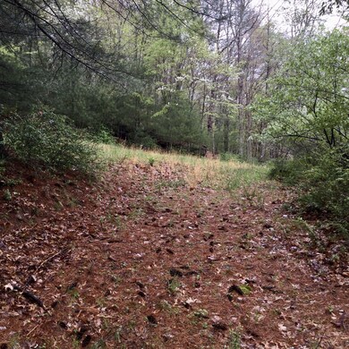 12949 Cass Rd, Cass, WV 24927 - photo 5