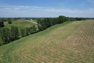7370 Energy Rd, Ewing, KY 41039 - photo 7