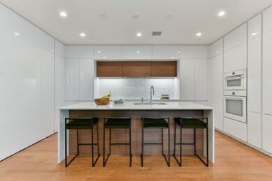201 W Brookline St unit 204, Boston, MA 02118 - photo 6
