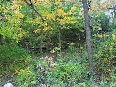 7411 Ash Ave, Gary, IN 46403 - photo 3