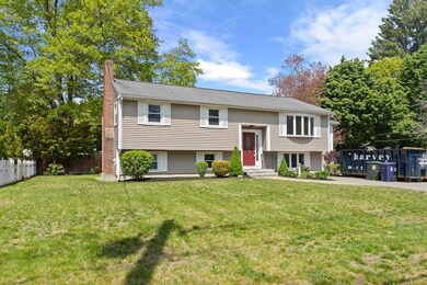 61 Cunningham St, Wilmington, MA 01887 - photo 4