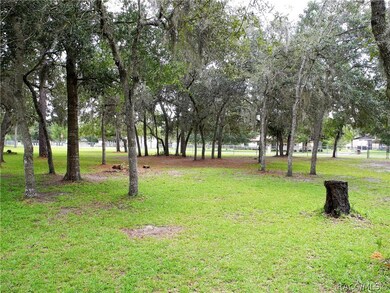 1724 E Naperville Ln, Hernando, FL 34442 - photo 6